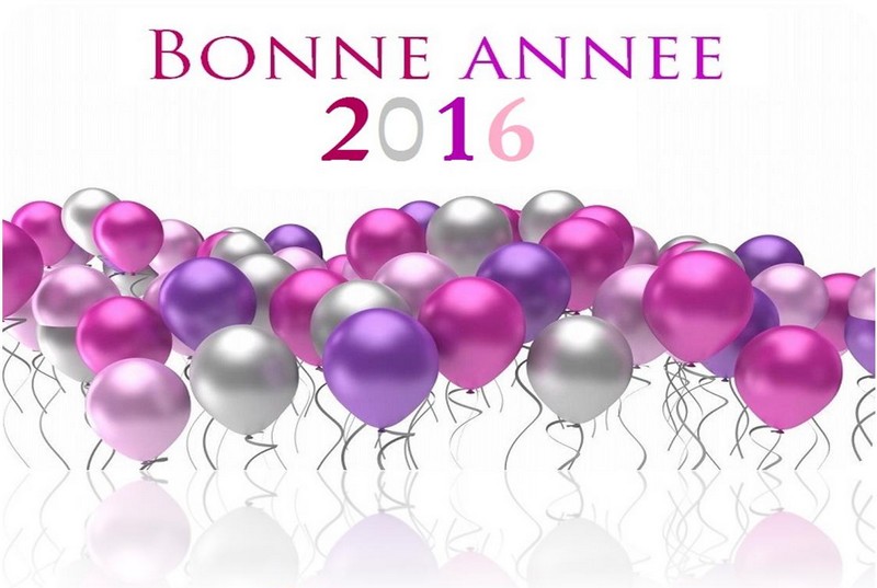 Lire la suite à propos de l’article Voeux 2016