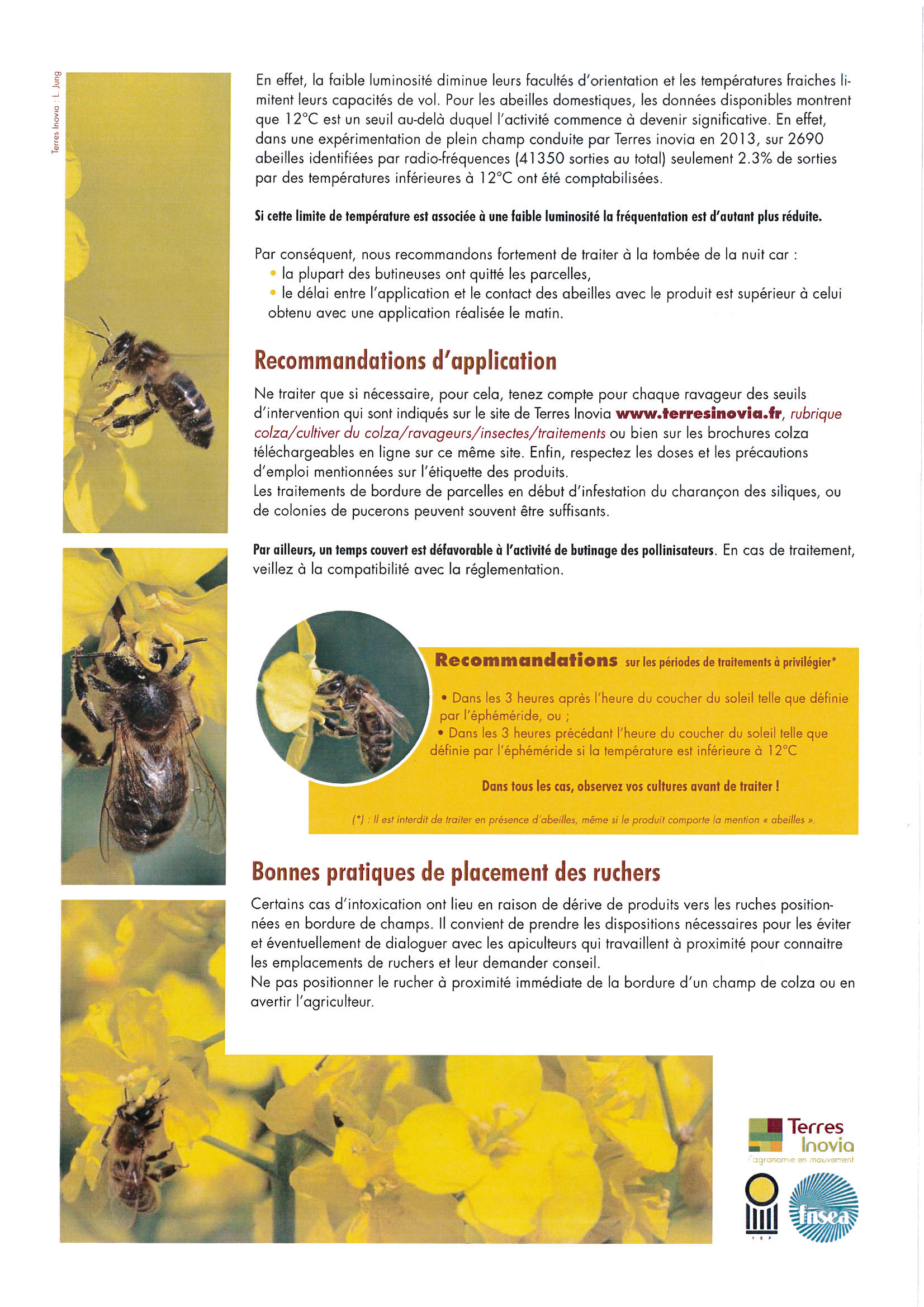 FicheColza2