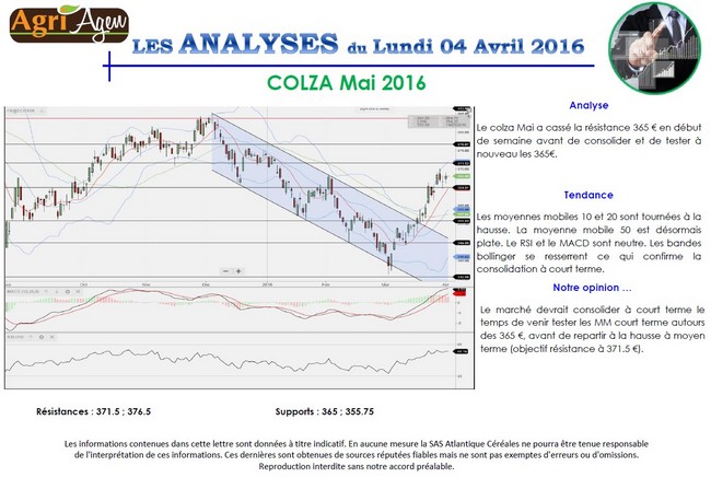 colza04042016