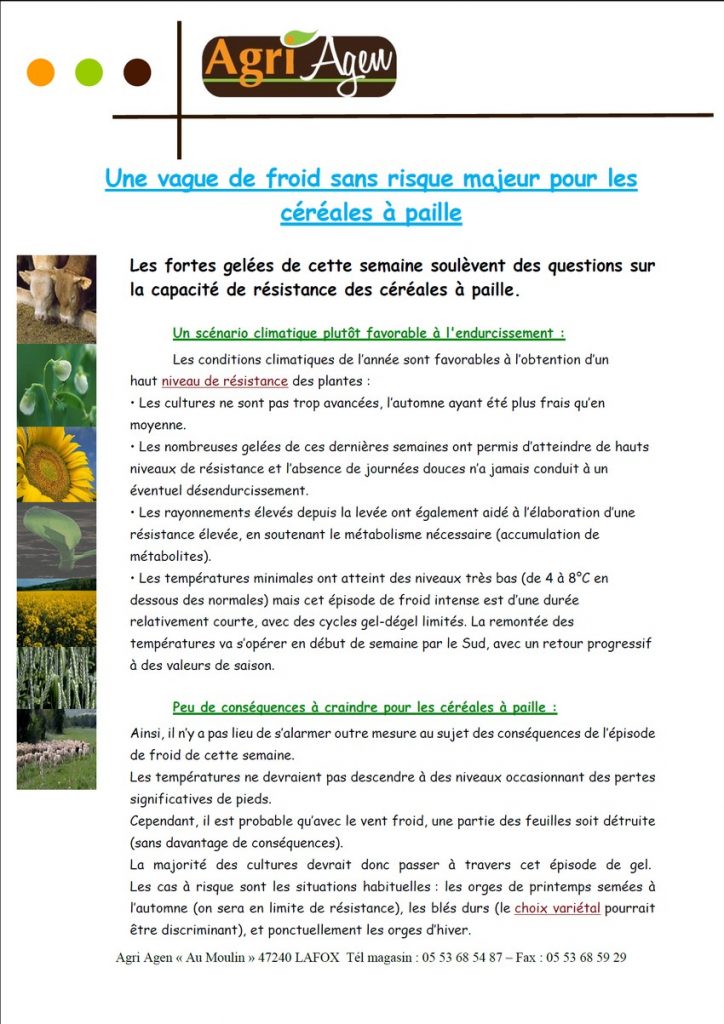 Lire la suite à propos de l’article Une vague de froid sans risque majeur pour les céréales à paille