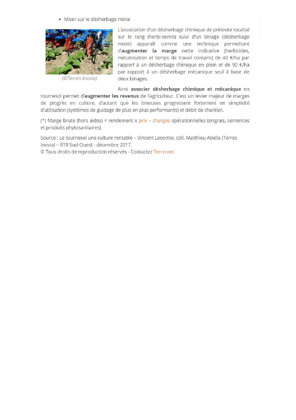 Le Tournesol une culture robuste3