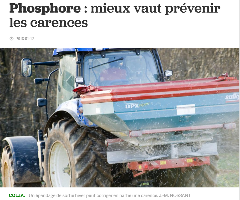 Lire la suite à propos de l’article Phosphore : mieux vaut prévenir les carences