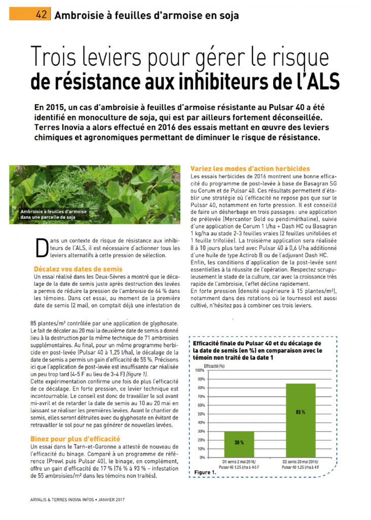 Lire la suite à propos de l’article Soja : comment gérer la problématique ambroisie ?