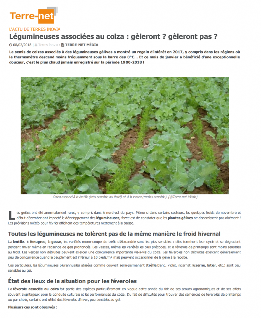 Lire la suite à propos de l’article Légumineuses associées au colza : gèleront ? gèleront pas ?