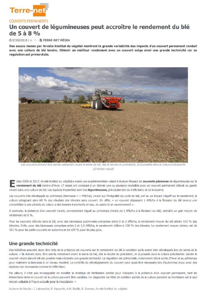 Lire la suite à propos de l’article Un couvert de légumineuses peut accroître le rendement du blé de 5 à 8%